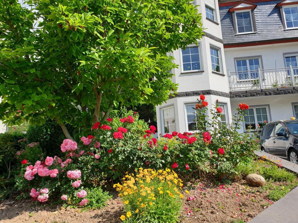 Ferienwohnung Thoennes Müden Zewnętrze zdjęcie